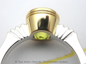 DSCN8510