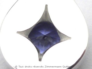 DSCN8922