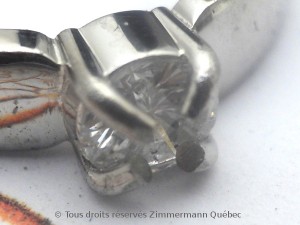DSCN2244