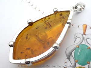 DSCN5728