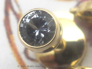 DSCN4534