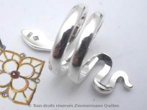 DSCN5020