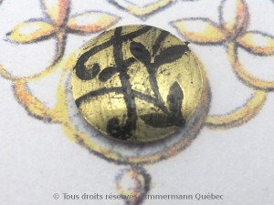 DSCN5202