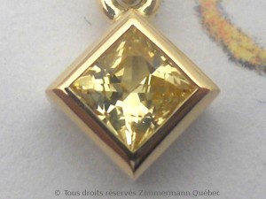 DSCN5290