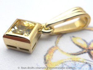 DSCN5292
